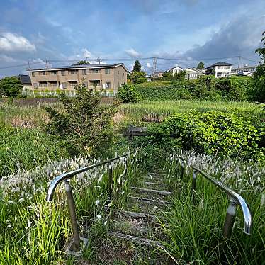 実際訪問したユーザーが直接撮影して投稿した吉岡公園せせらぎ広場の写真