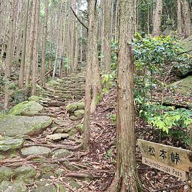 実際訪問したユーザーが直接撮影して投稿した木本町山 / 峠松本峠の写真