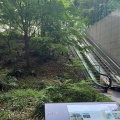 実際訪問したユーザーが直接撮影して投稿した大手町公園大手町の森の写真