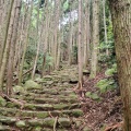 実際訪問したユーザーが直接撮影して投稿した木本町山 / 峠松本峠の写真