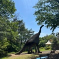 実際訪問したユーザーが直接撮影して投稿した岩殿動物園埼玉県こども動物自然公園の写真