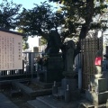 実際訪問したユーザーが直接撮影して投稿した中央歴史 / 遺跡堀江家の墓所の写真