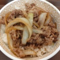 牛丼 並 - 実際訪問したユーザーが直接撮影して投稿した上勢頭牛丼すき家 北谷国体道路店の写真のメニュー情報