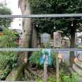 実際訪問したユーザーが直接撮影して投稿した宇治神社縣神社の写真