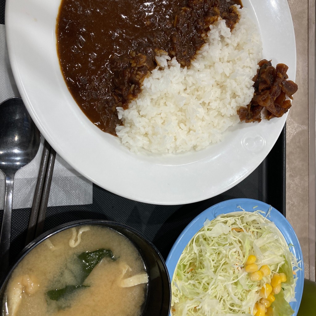 ユーザーが投稿したカレーの写真 - 実際訪問したユーザーが直接撮影して投稿した貫井牛丼松屋 中村橋店の写真