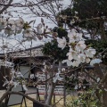 実際訪問したユーザーが直接撮影して投稿した大安寺寺大安寺の写真