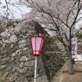 実際訪問したユーザーが直接撮影して投稿した殿町城 / 城跡松坂城 石垣の写真