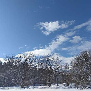 実際訪問したユーザーが直接撮影して投稿した芳泉町そば南原そば会館の写真