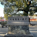 実際訪問したユーザーが直接撮影して投稿した香椎神社香椎宮の写真