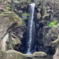 実際訪問したユーザーが直接撮影して投稿した成田公園成田山公園の写真