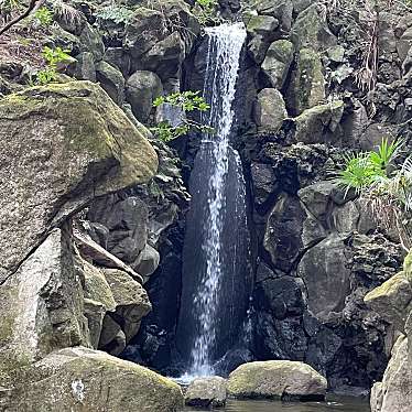 実際訪問したユーザーが直接撮影して投稿した成田公園成田山公園の写真