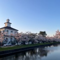 実際訪問したユーザーが直接撮影して投稿した馬場町公園鶴岡公園の写真