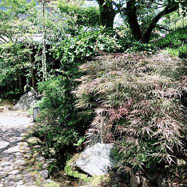 実際訪問したユーザーが直接撮影して投稿した聖護院西町うどん河道屋 養老の写真