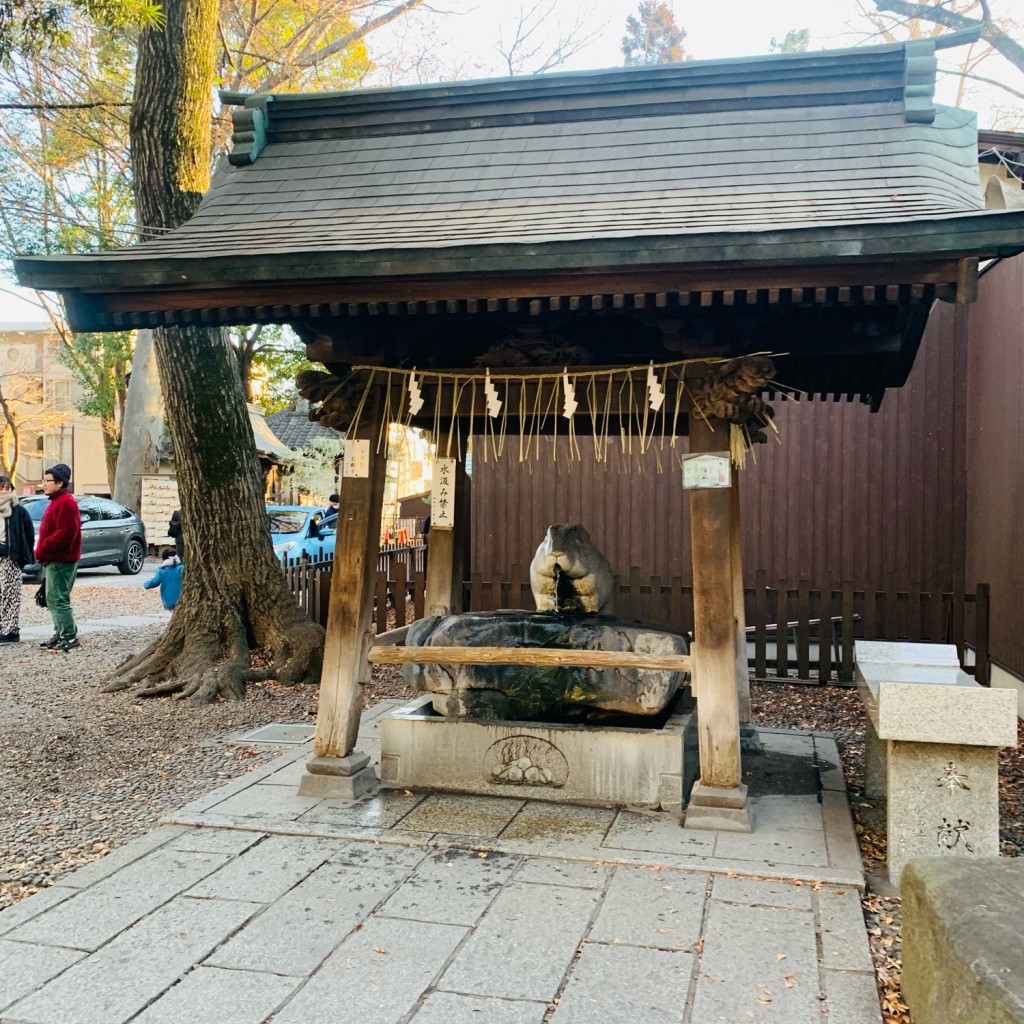 実際訪問したユーザーが直接撮影して投稿した岸町神社調神社 手水舎の写真