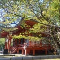 実際訪問したユーザーが直接撮影して投稿した伊豆山神社伊豆山神社の写真