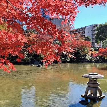 檜町公園のundefinedに実際訪問訪問したユーザーunknownさんが新しく投稿した新着口コミの写真