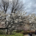 実際訪問したユーザーが直接撮影して投稿した代田公園羽根木公園の写真