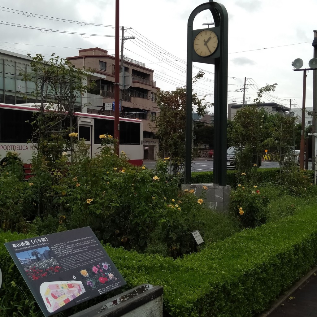 実際訪問したユーザーが直接撮影して投稿した岡本公園本山街園の写真