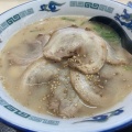 チャーシュー麺 - 実際訪問したユーザーが直接撮影して投稿した大在北ラーメン / つけ麺森のくまさんラーメンの写真のメニュー情報