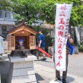 実際訪問したユーザーが直接撮影して投稿した木場神社木場洲崎神社の写真