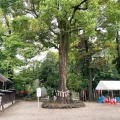 実際訪問したユーザーが直接撮影して投稿した下新田神社玉村八幡宮の写真