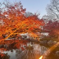 実際訪問したユーザーが直接撮影して投稿した三波川公園桜山公園の写真