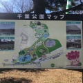 実際訪問したユーザーが直接撮影して投稿した弁天公園千葉公園の写真