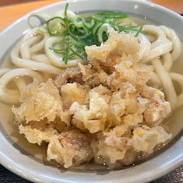 生そば・讃岐うどん かのや 新橋駅構内店のundefinedに実際訪問訪問したユーザーunknownさんが新しく投稿した新着口コミの写真