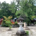 実際訪問したユーザーが直接撮影して投稿した若宮横町神社今宮神社の写真