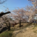 実際訪問したユーザーが直接撮影して投稿した宮西町公園夙川河川敷緑地の写真