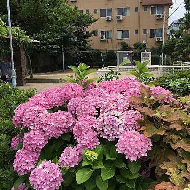 実際訪問したユーザーが直接撮影して投稿した千躰公園千躰公園の写真