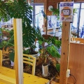 実際訪問したユーザーが直接撮影して投稿した上川内カフェカフェ・アメィゾンの写真