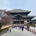 実際訪問したユーザーが直接撮影して投稿した雑司町寺東大寺の写真