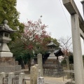 実際訪問したユーザーが直接撮影して投稿した平出町神社白山神社の写真