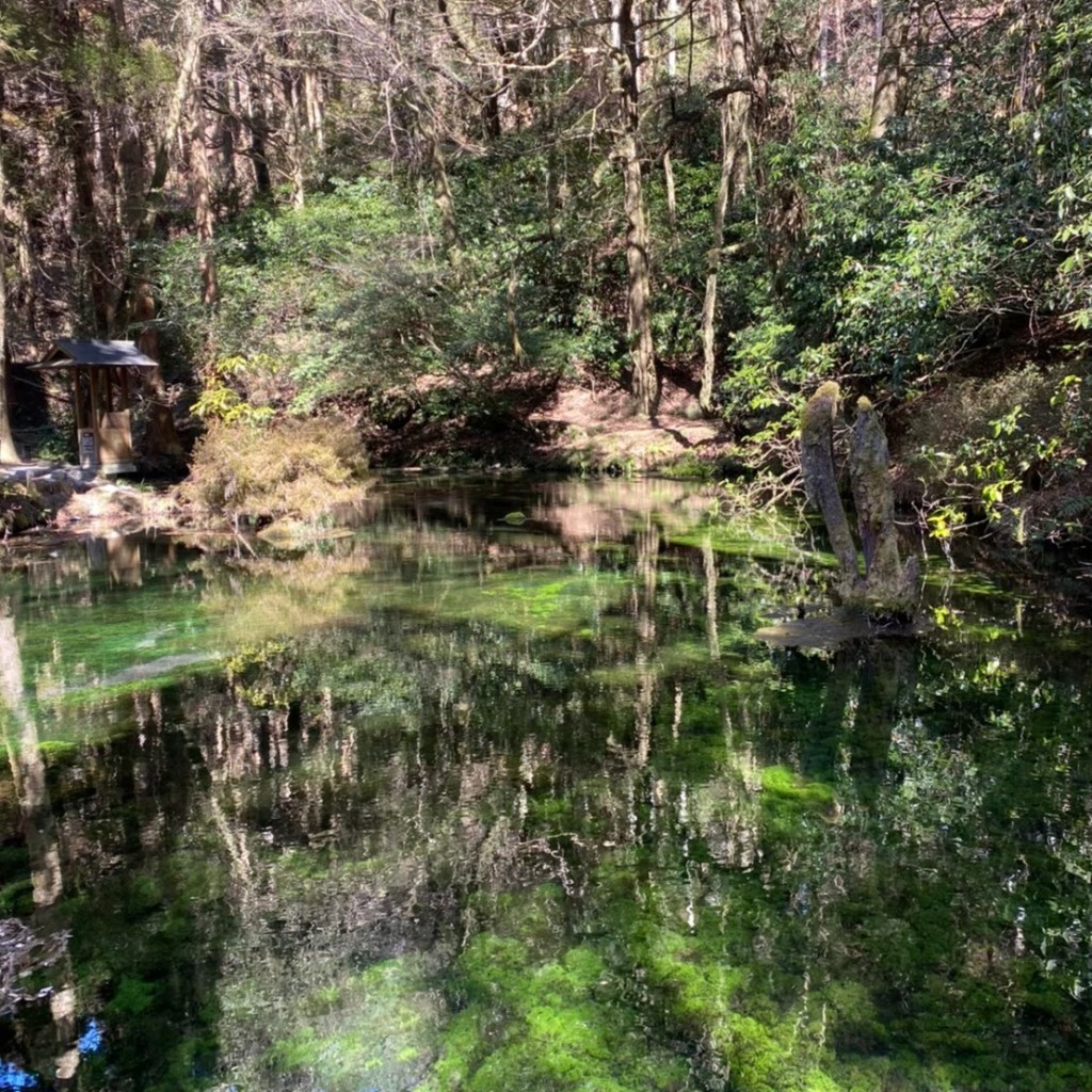 実際訪問したユーザーが直接撮影して投稿した田尻名水 / 湧水百選池山水源の写真