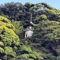 実際訪問したユーザーが直接撮影して投稿した三丁目寺了仙寺の写真