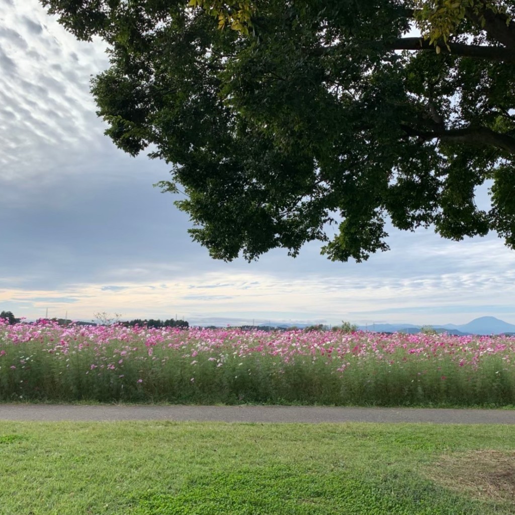 自然大好きっ子さんが投稿した宝積寺公園のお店鬼怒グリーンパーク/キヌグリーンパークの写真