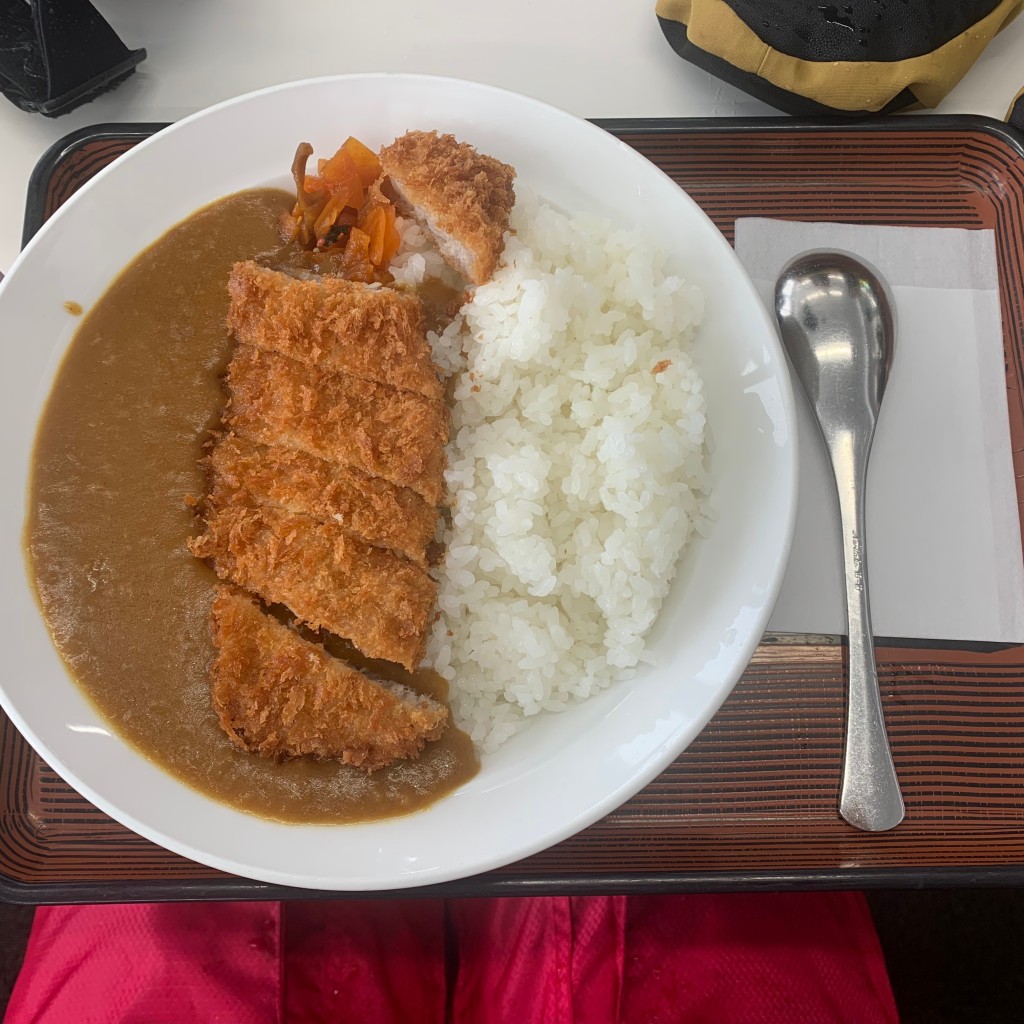 ユーザーが投稿したヒレカツカレーの写真 - 実際訪問したユーザーが直接撮影して投稿した洋食ウッドランドカフェの写真