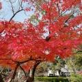 実際訪問したユーザーが直接撮影して投稿した楠町公園大倉山公園の写真