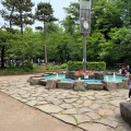 実際訪問したユーザーが直接撮影して投稿した南麻布公園有栖川宮記念公園の写真