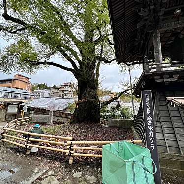 実際訪問したユーザーが直接撮影して投稿した別所温泉寺北向観音堂の写真