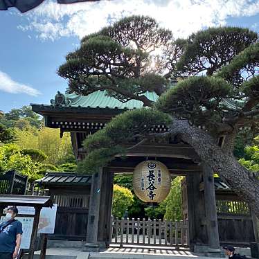 実際訪問したユーザーが直接撮影して投稿した飯山寺飯山観音 長谷寺の写真