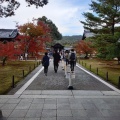 実際訪問したユーザーが直接撮影して投稿した金閣寺町庭園鹿苑寺庭園の写真