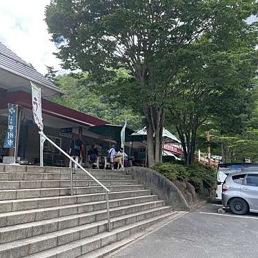 実際訪問したユーザーが直接撮影して投稿した大和町初鹿野道の駅道の駅 甲斐大和の写真