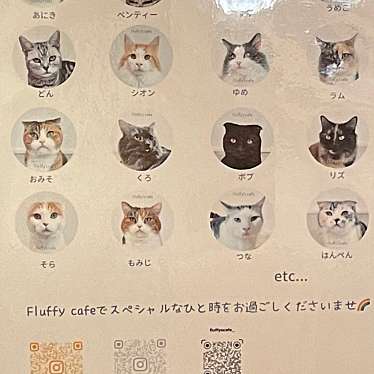 実際訪問したユーザーが直接撮影して投稿した裏寺町カフェFluffy's cafeの写真