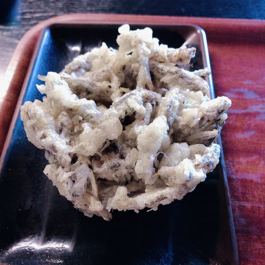ユーザーが投稿したかきあげの写真 - 実際訪問したユーザーが直接撮影して投稿した綾歌町岡田西うどんあやうた製麺の写真