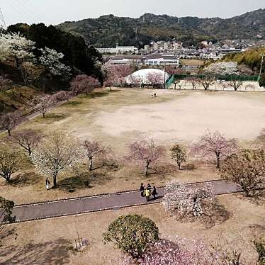 実際訪問したユーザーが直接撮影して投稿した芦谷公園幸田文化公園の写真