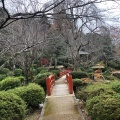 実際訪問したユーザーが直接撮影して投稿した仲ノ町公園打吹公園の写真