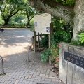 実際訪問したユーザーが直接撮影して投稿した碑文谷公園碑文谷公園の写真