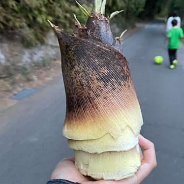 実際訪問したユーザーが直接撮影して投稿した赤坂町公園会下山公園の写真